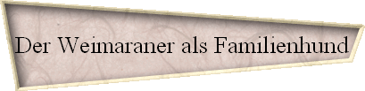 Der Weimaraner als Familienhund
